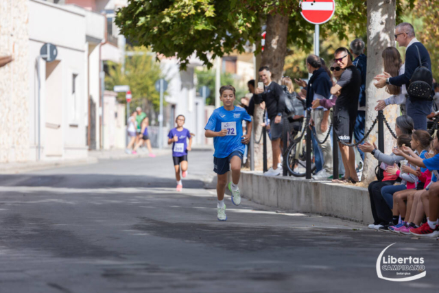 Maracalagonis-120
