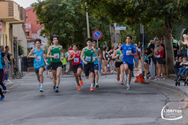 Maracalagonis-126