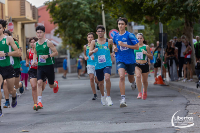 Maracalagonis-127