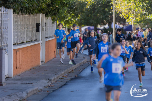 Maracalagonis-32
