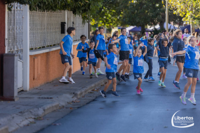 Maracalagonis-38