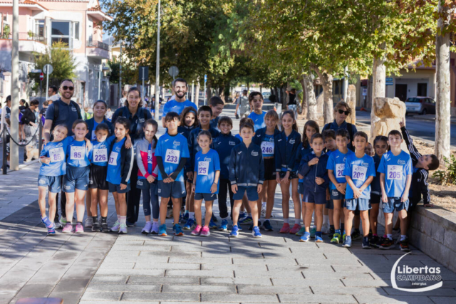 Maracalagonis-7